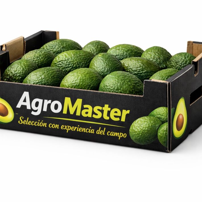 10 Kg de palta hass Chilena