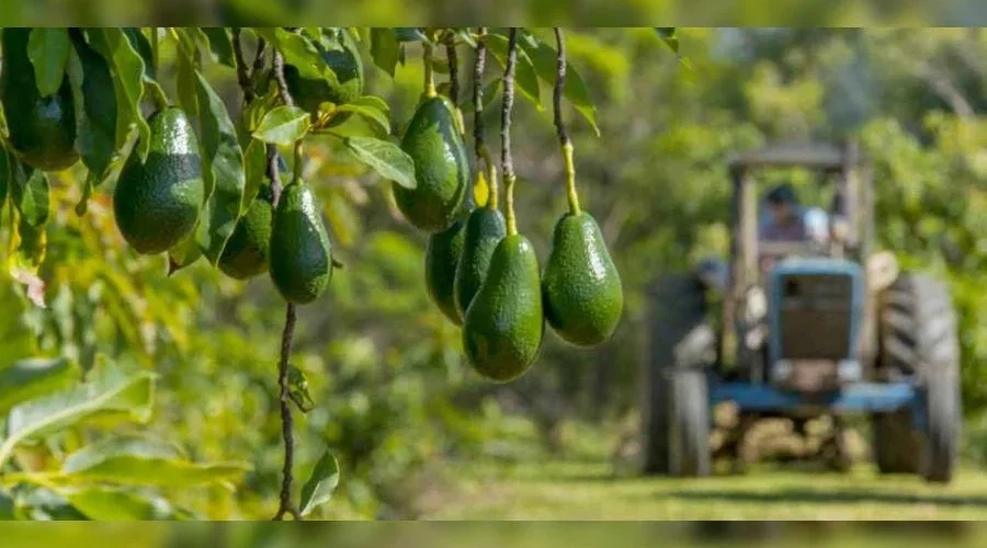 photo_2025-12-11_09-55-45